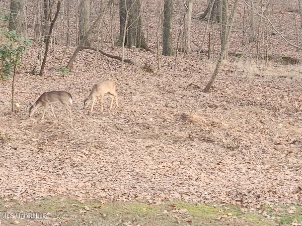 $305,000 | 1365 Jo Ann Drive, Southaven, MS 38671