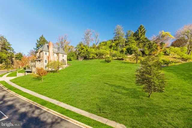 a view of a yard with an tree