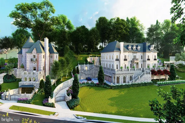 a aerial view of a house with a big yard potted plants and large tree
