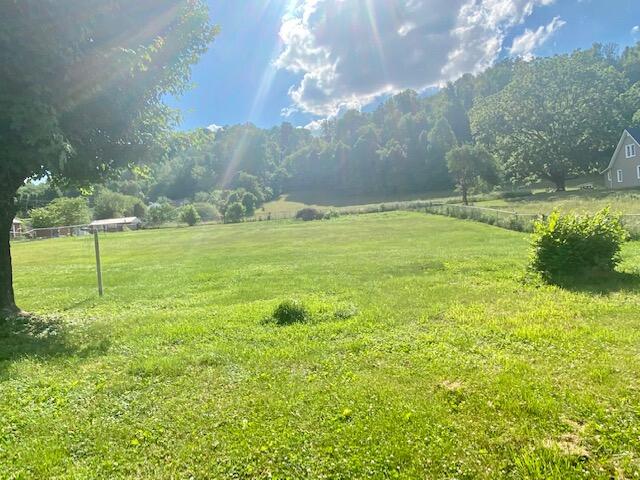 2200 State Line Road Elizabethton, TN 37643 - Photo 5 of 16 IMG_4764