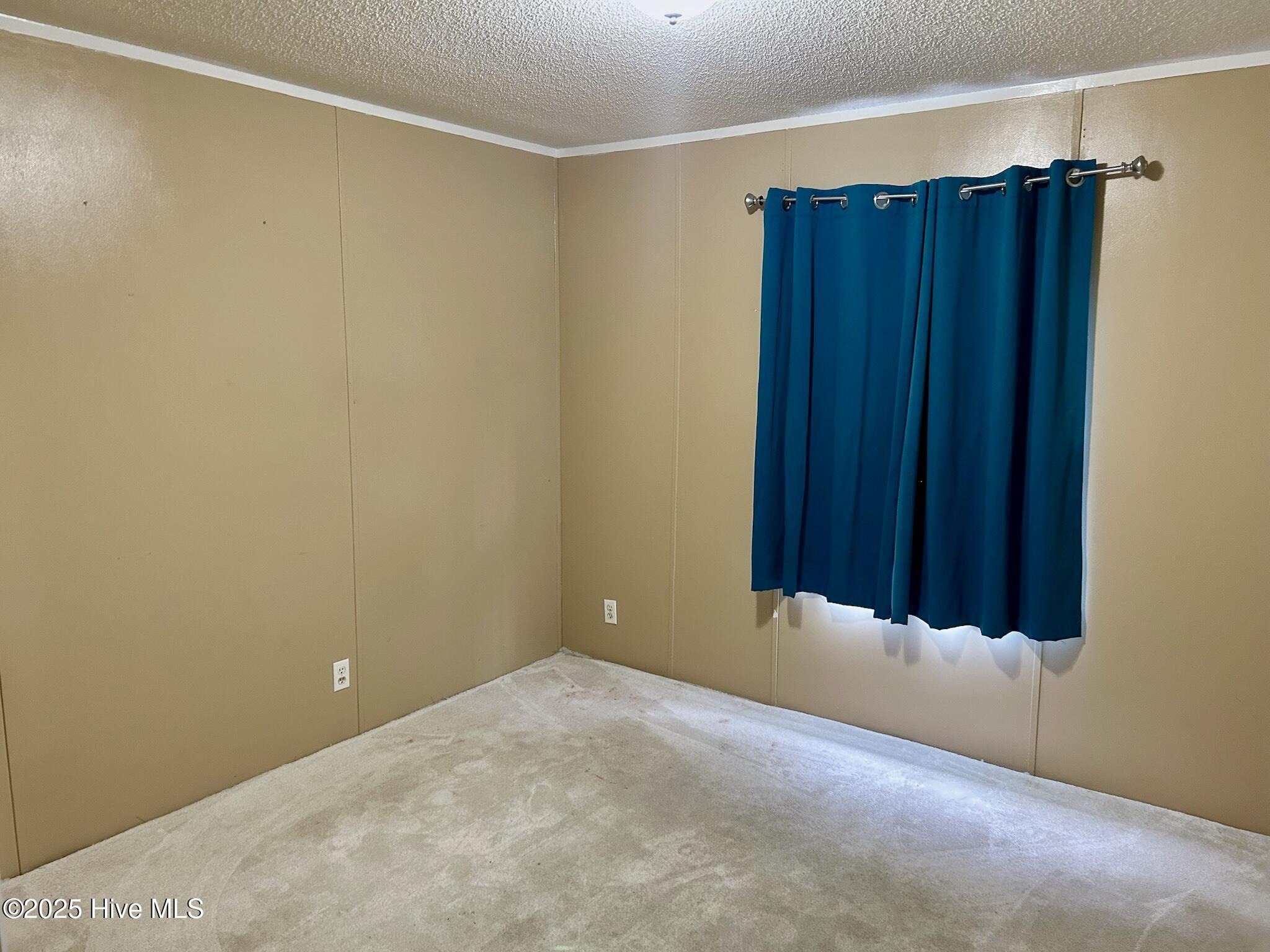 111 Willow Pond Road Hamlet, NC 28345 - Photo 17 of 49 bedroom 3