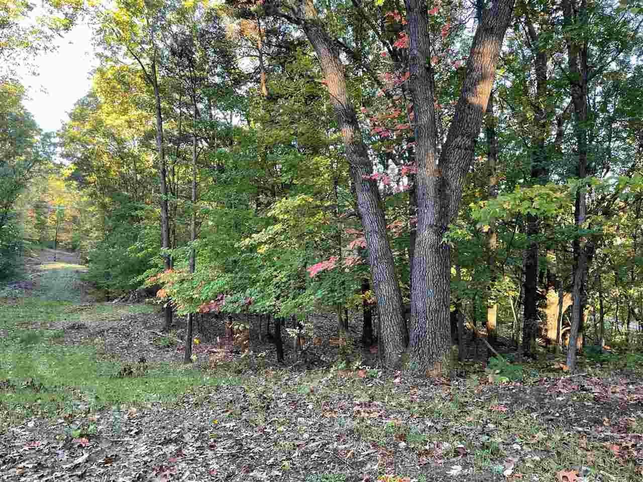 333 Barron Drive Ada, MI 49301 - Photo 6 of 14