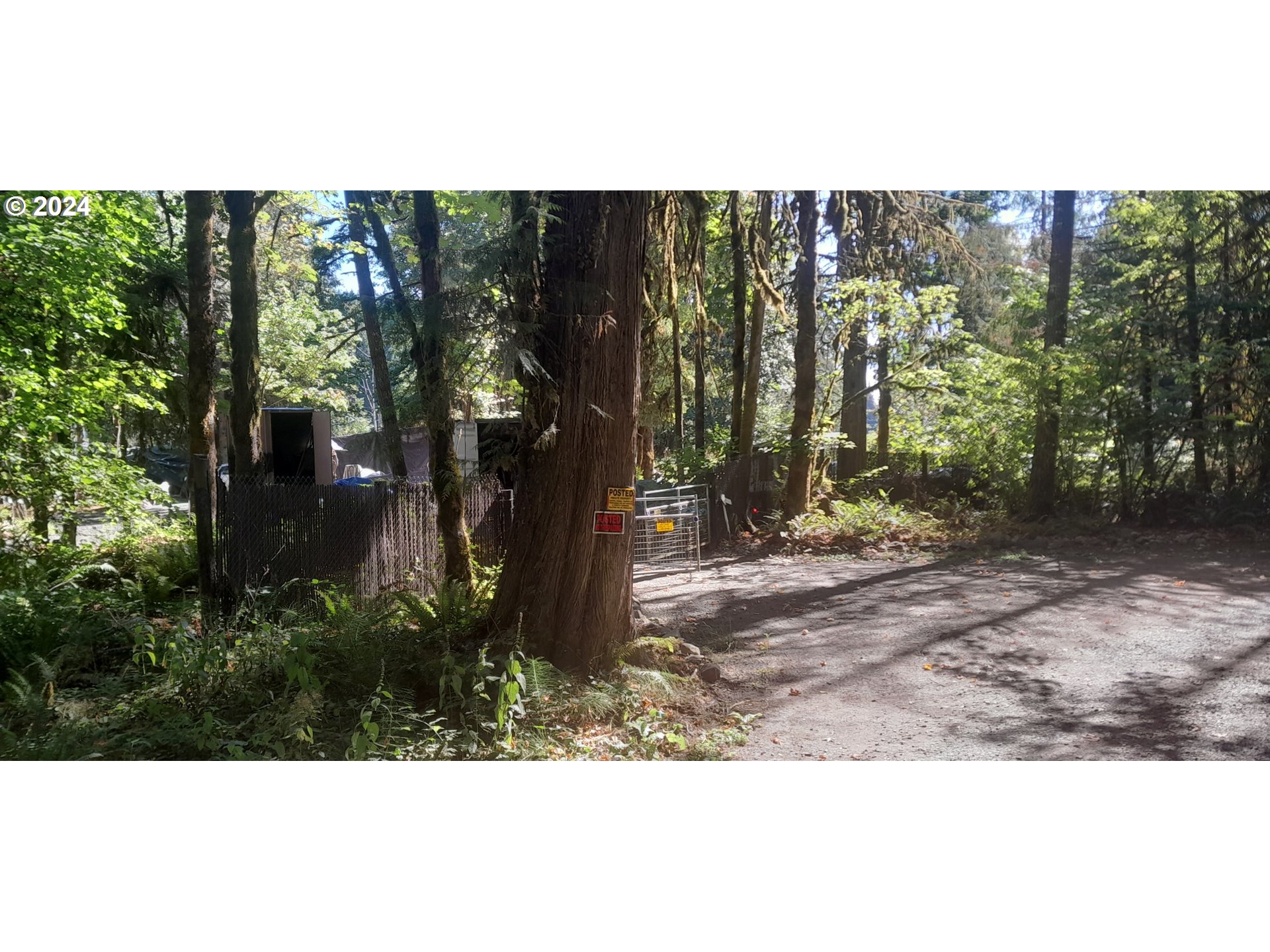 24111 Northwest Meacham Road North Plains, OR 97133 - Photo 14 of 35 a view of yard with green space