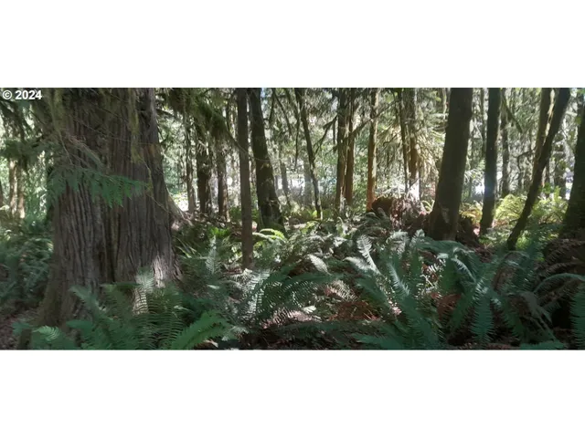 $300,000 | 24111 Northwest Meacham Road, North Plains, OR 97133