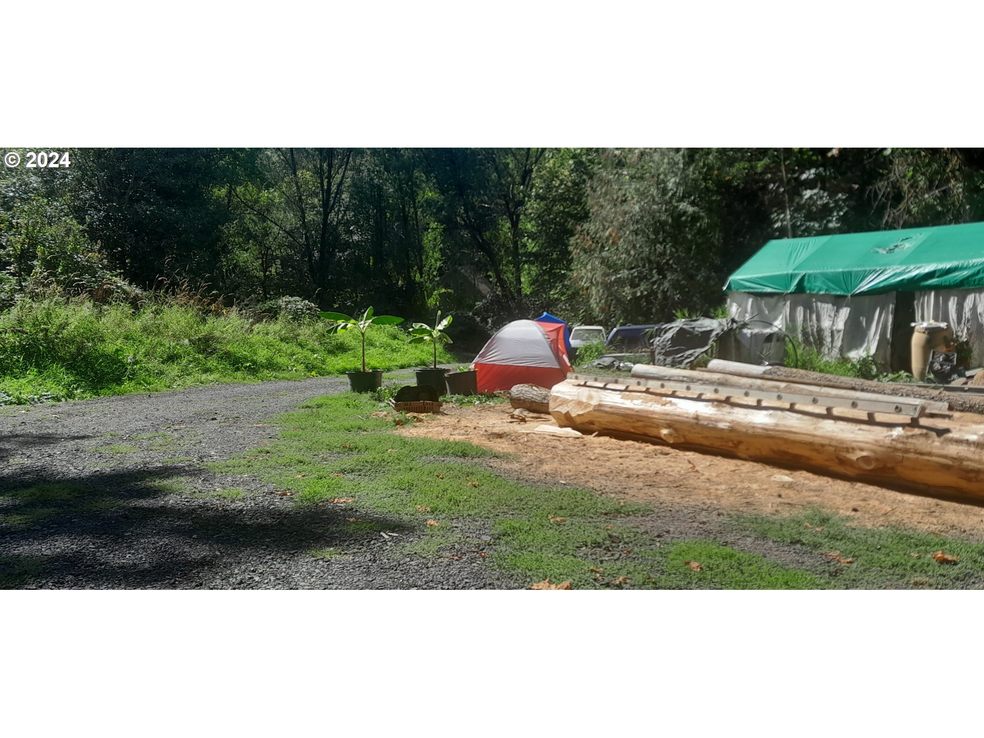 24111 Northwest Meacham Road North Plains, OR 97133 - Photo 16 of 35 a view of yard with green space