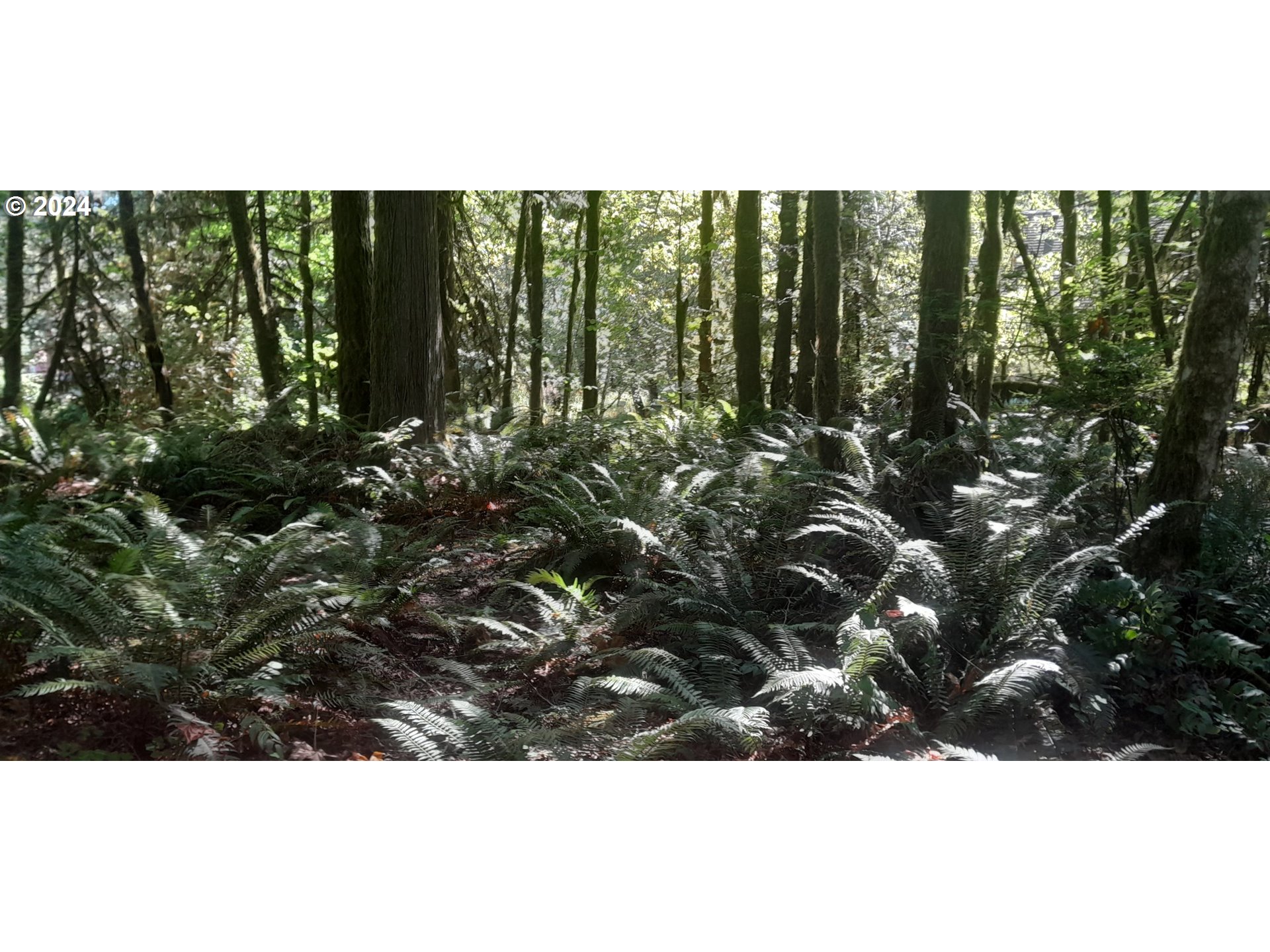 24111 Northwest Meacham Road North Plains, OR 97133 - Photo 17 of 35 a view of outdoor space with green space