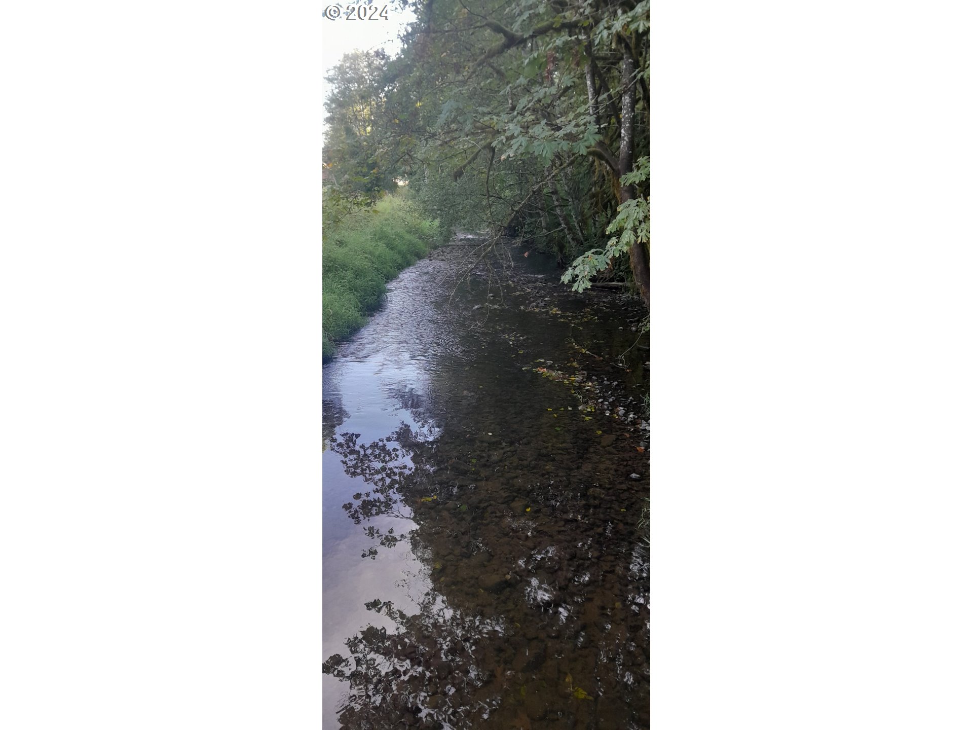 24111 Northwest Meacham Road North Plains, OR 97133 - Photo 20 of 35