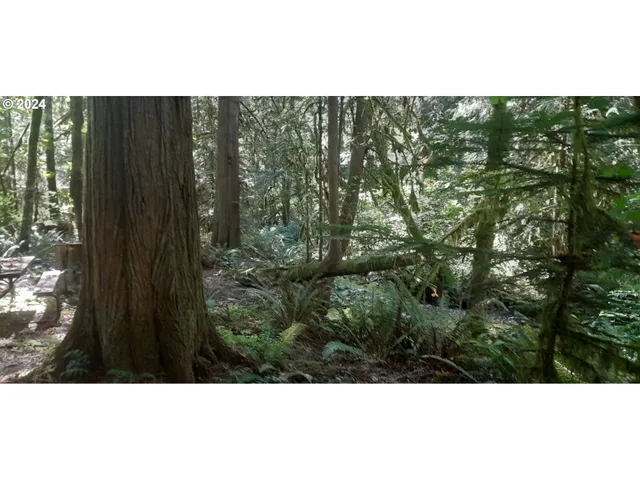 $300,000 | 24111 Northwest Meacham Road, North Plains, OR 97133