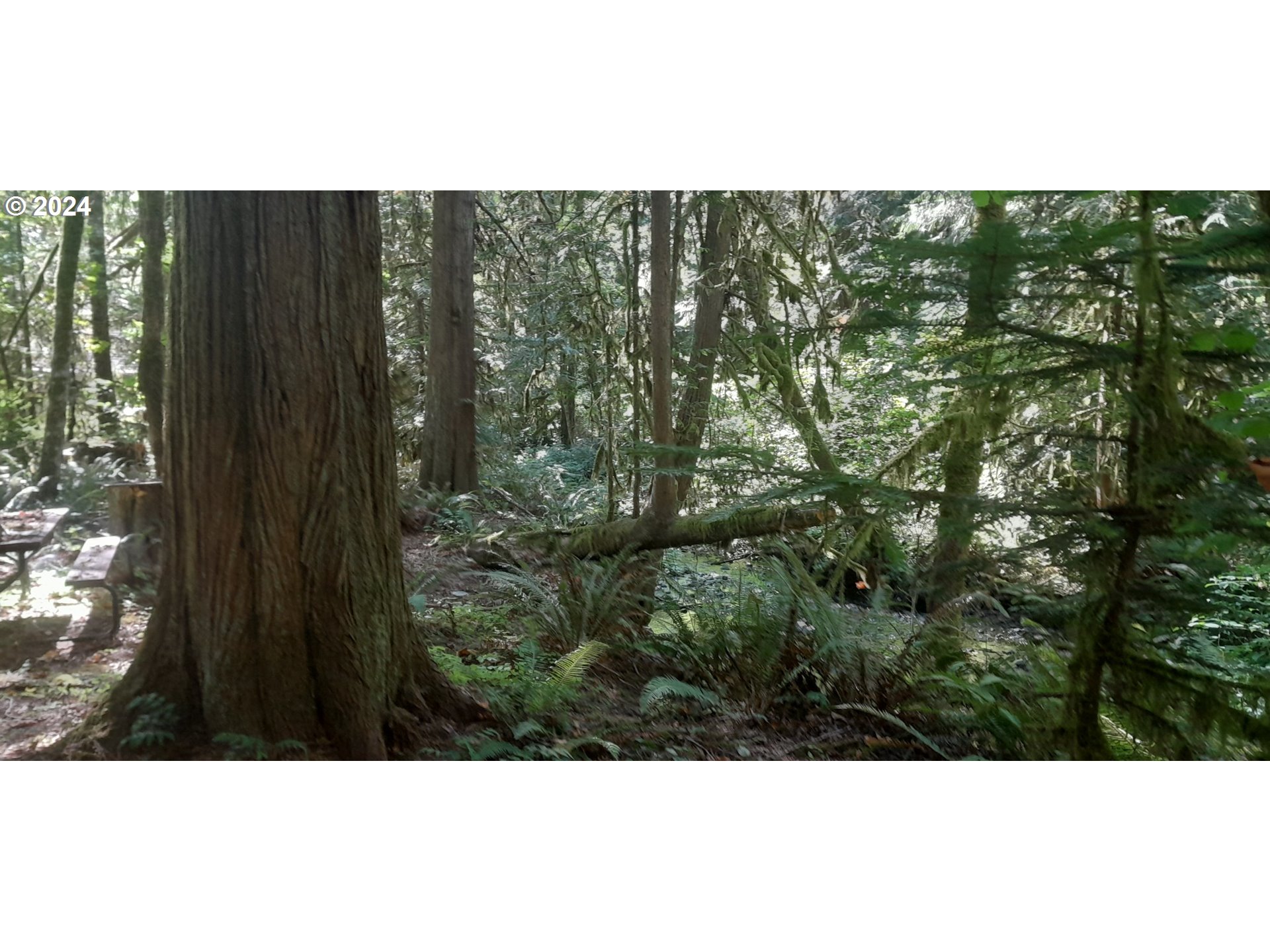 24111 Northwest Meacham Road North Plains, OR 97133 - Photo 2 of 35