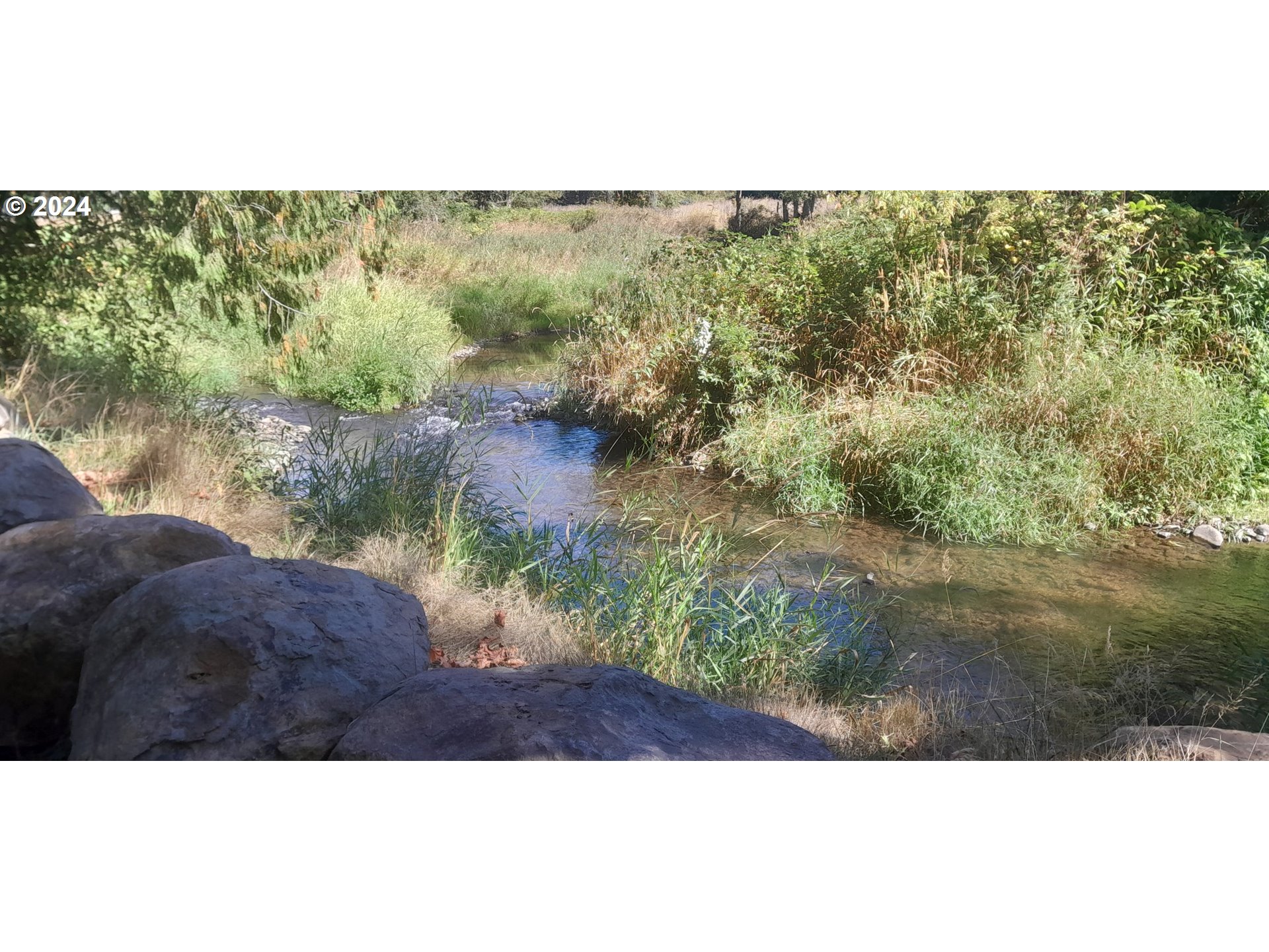 24111 Northwest Meacham Road North Plains, OR 97133 - Photo 21 of 35 a view of a yard with a mountain