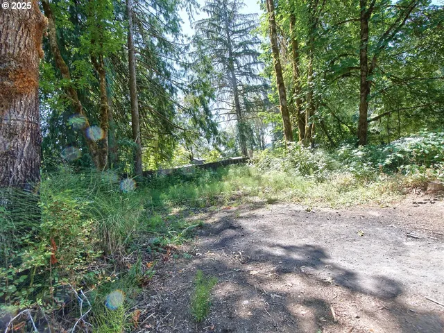 $300,000 | 24111 Northwest Meacham Road, North Plains, OR 97133