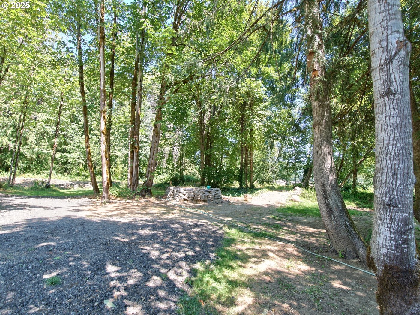24111 Northwest Meacham Road North Plains, OR 97133 - Photo 28 of 35 a view of a yard with large trees