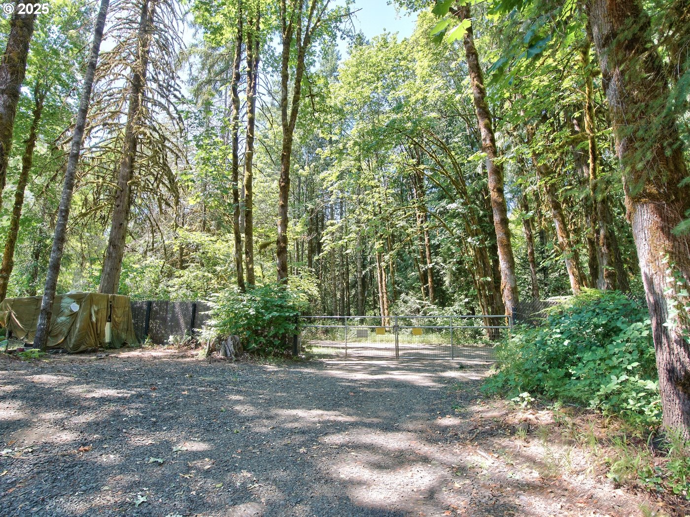 24111 Northwest Meacham Road North Plains, OR 97133 - Photo 32 of 35 a view of outdoor space and yard