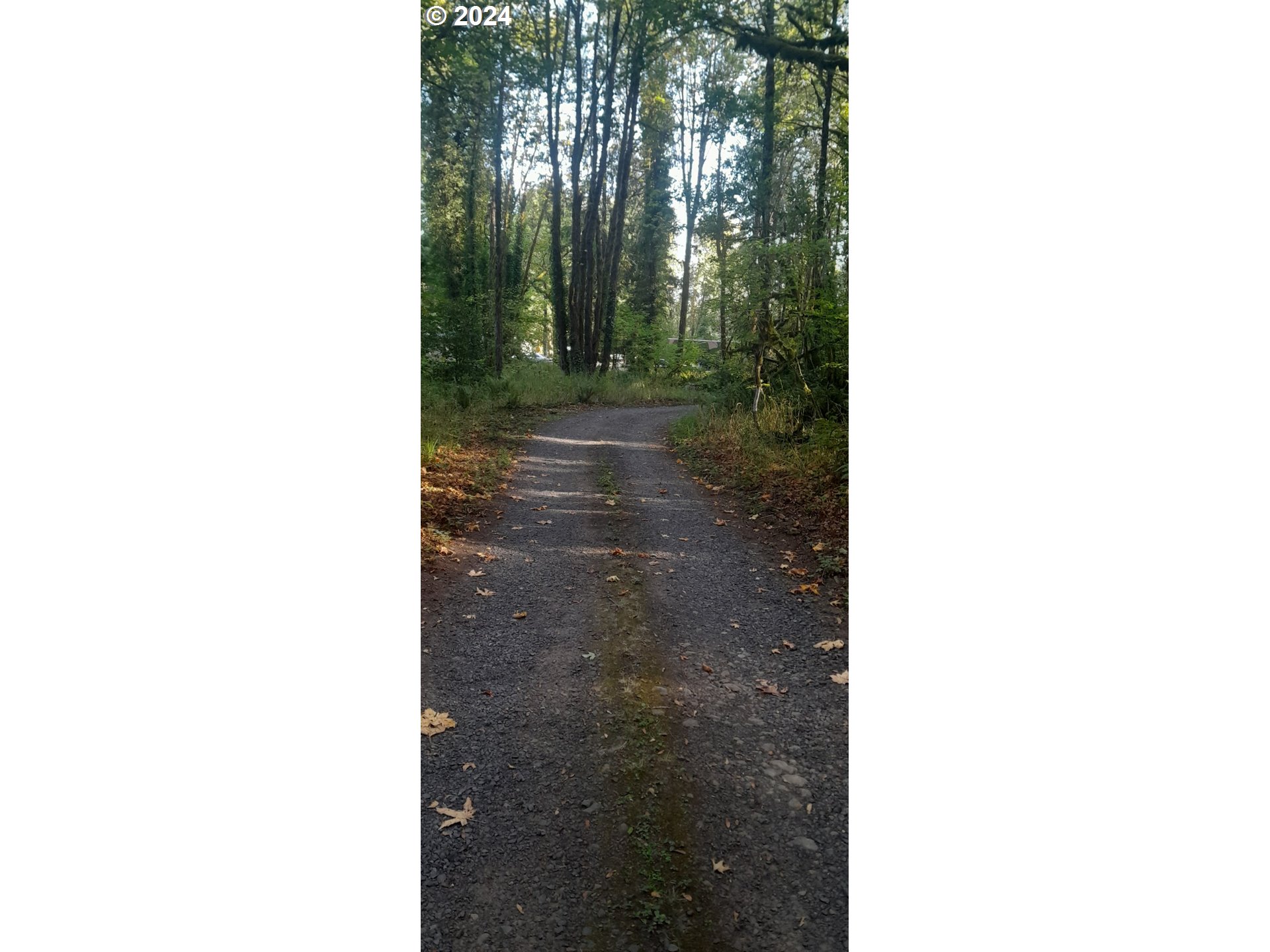 24111 Northwest Meacham Road North Plains, OR 97133 - Photo 8 of 35 a view of a yard with brick wall and a window