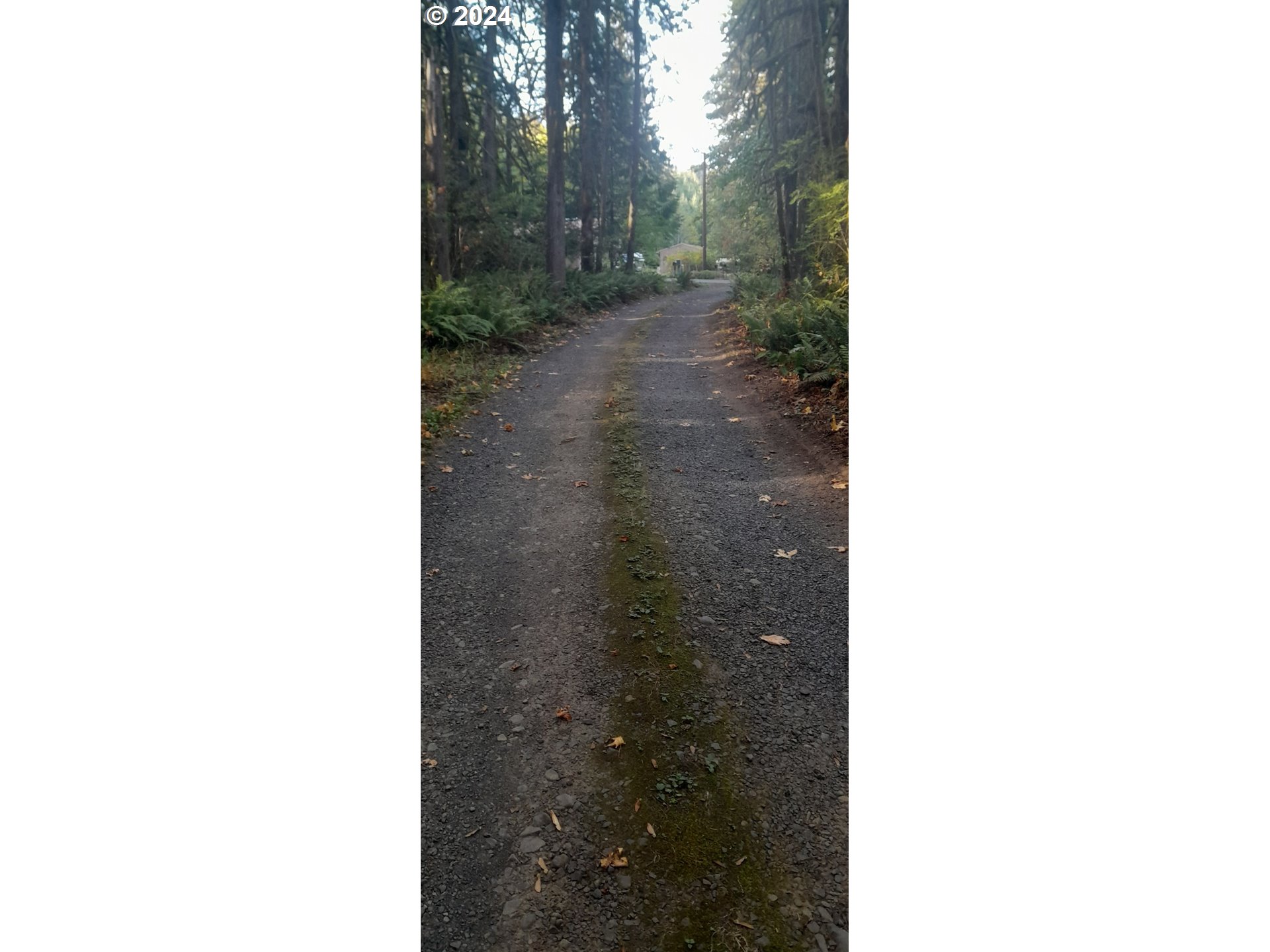 24111 Northwest Meacham Road North Plains, OR 97133 - Photo 9 of 35 a picture of a small yard
