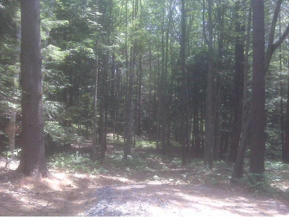 131 Pappas Road Claremont, NH 03743 - Photo 1 of 1 Gallery Image 1