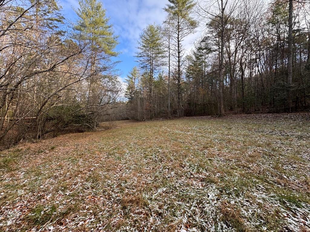 0 Shuler Mountain Road Murphy, NC 28906 - Photo 11 of 14 a view of a large yard with trees in the background