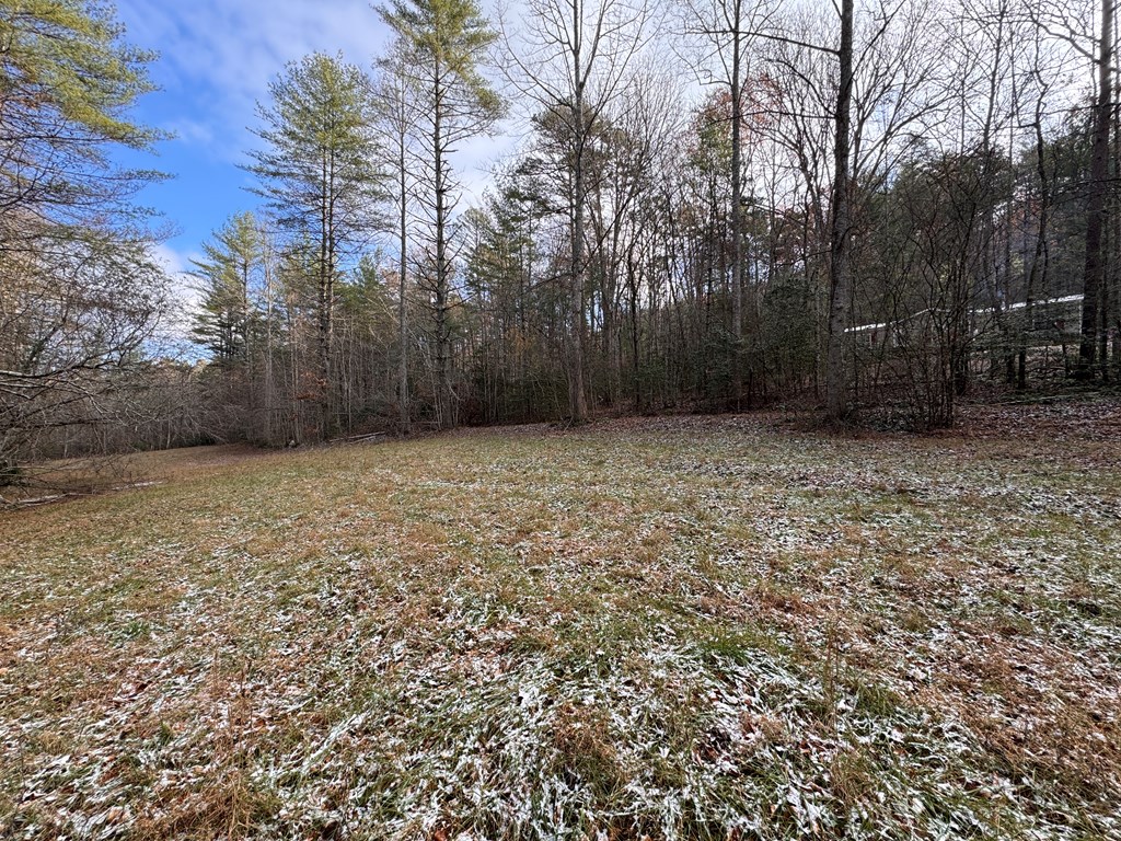 0 Shuler Mountain Road Murphy, NC 28906 - Photo 12 of 14 a view of a large yard with trees
