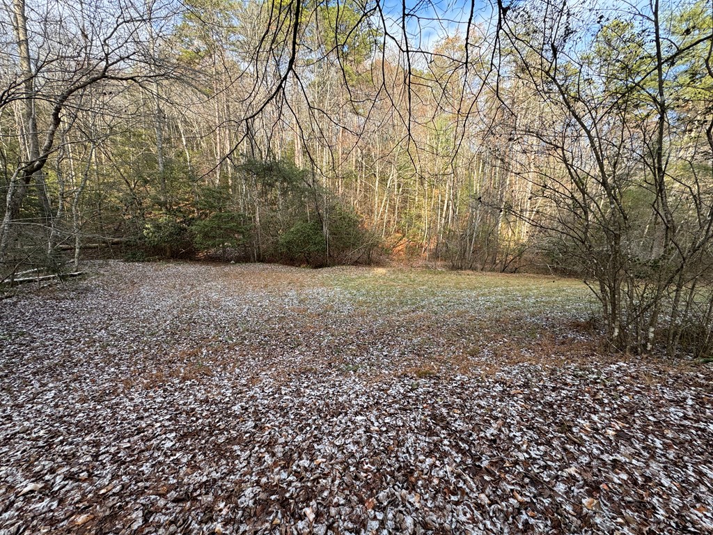 0 Shuler Mountain Road Murphy, NC 28906 - Photo 4 of 14 a view of a yard with a trees