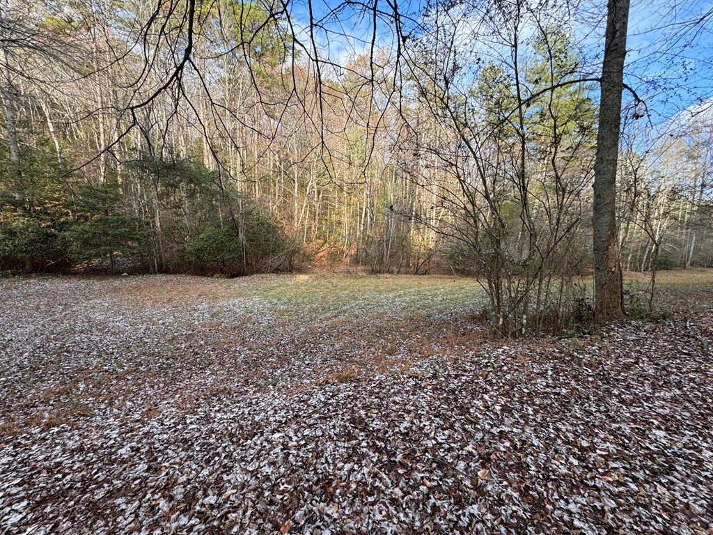 0 Shuler Mountain Road Murphy, NC 28906 - Photo 5 of 14 a backyard of a house with lots of green space