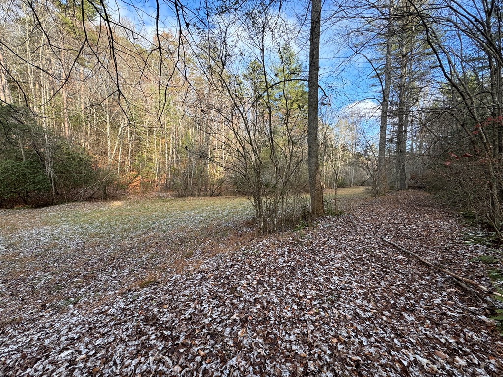 0 Shuler Mountain Road Murphy, NC 28906 - Photo 6 of 14 a view of a yard with trees