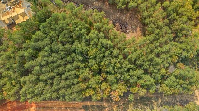 $221,000 | Lot # Whispering Way, Guild, TN 37340