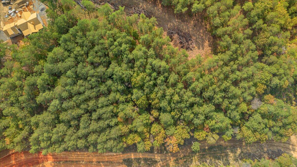 400 Treetop Street, Unit LOT 1335 Guild, TN 37340 - Photo 16 of 16 14-DJI_0034