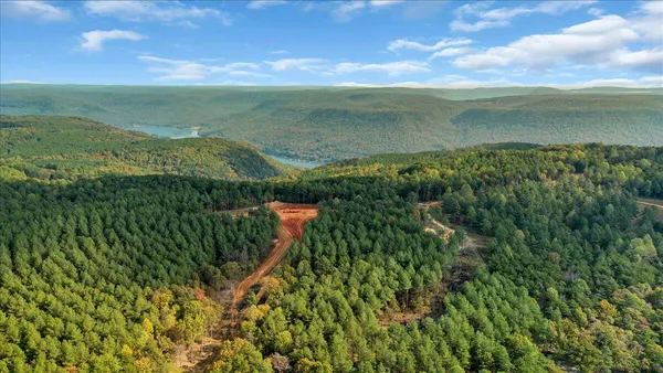 $221,000 | 400 Treetop Street, Unit LOT 1335, Guild, TN 37340