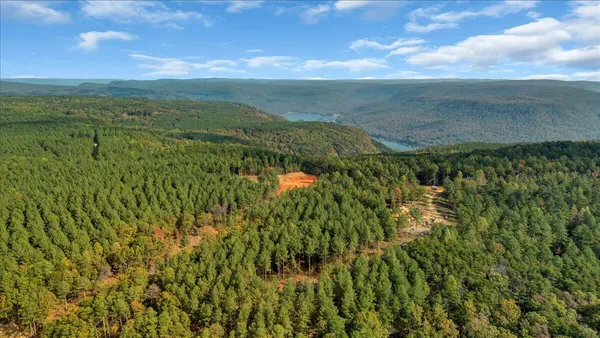 $221,000 | 400 Treetop Street, Unit LOT 1335, Guild, TN 37340