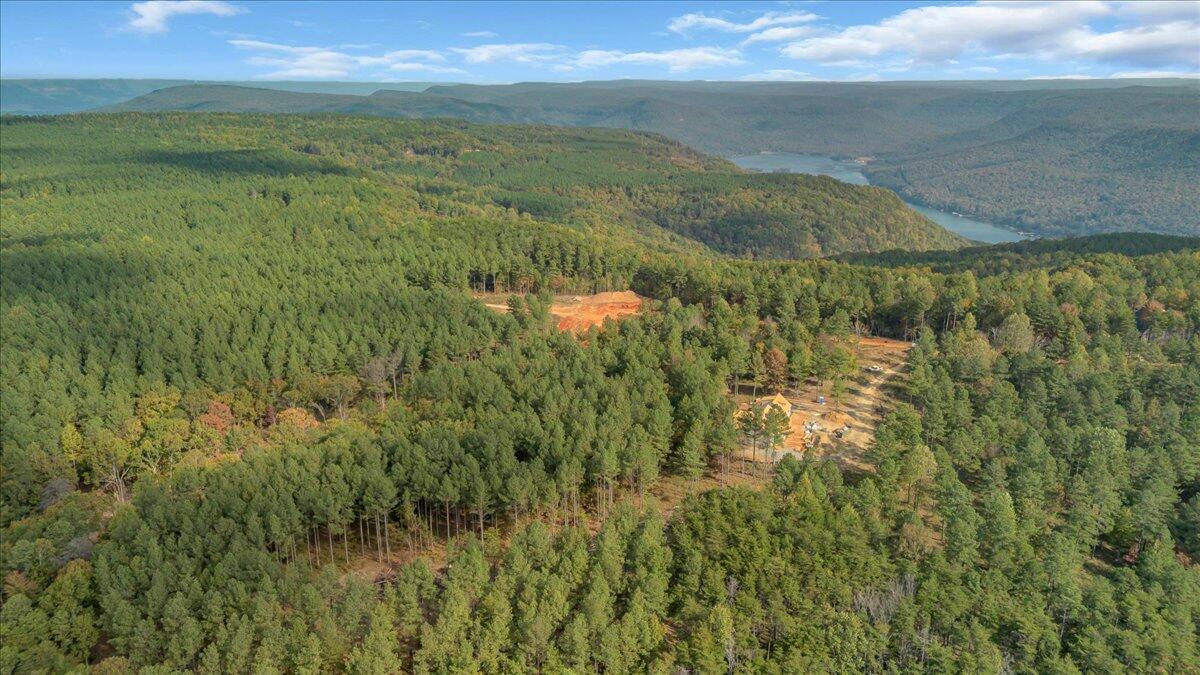 400 Treetop Street, Unit LOT 1335 Guild, TN 37340 - Photo 8 of 16 06-DJI_0017