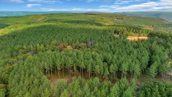 $221,000 | 400 Treetop Street, Unit LOT 1335, Guild, TN 37340