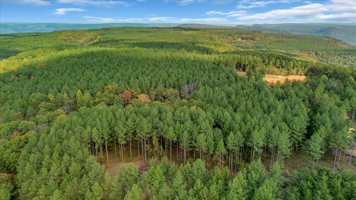 400 Treetop Street, Unit LOT 1335 Guild, TN 37340 - Photo 9 of 16 07-DJI_0021