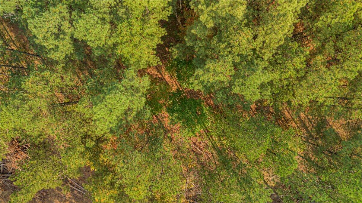 400 Treetop Street, Unit LOT 1335 Guild, TN 37340 - Photo 10 of 16 08-DJI_0024