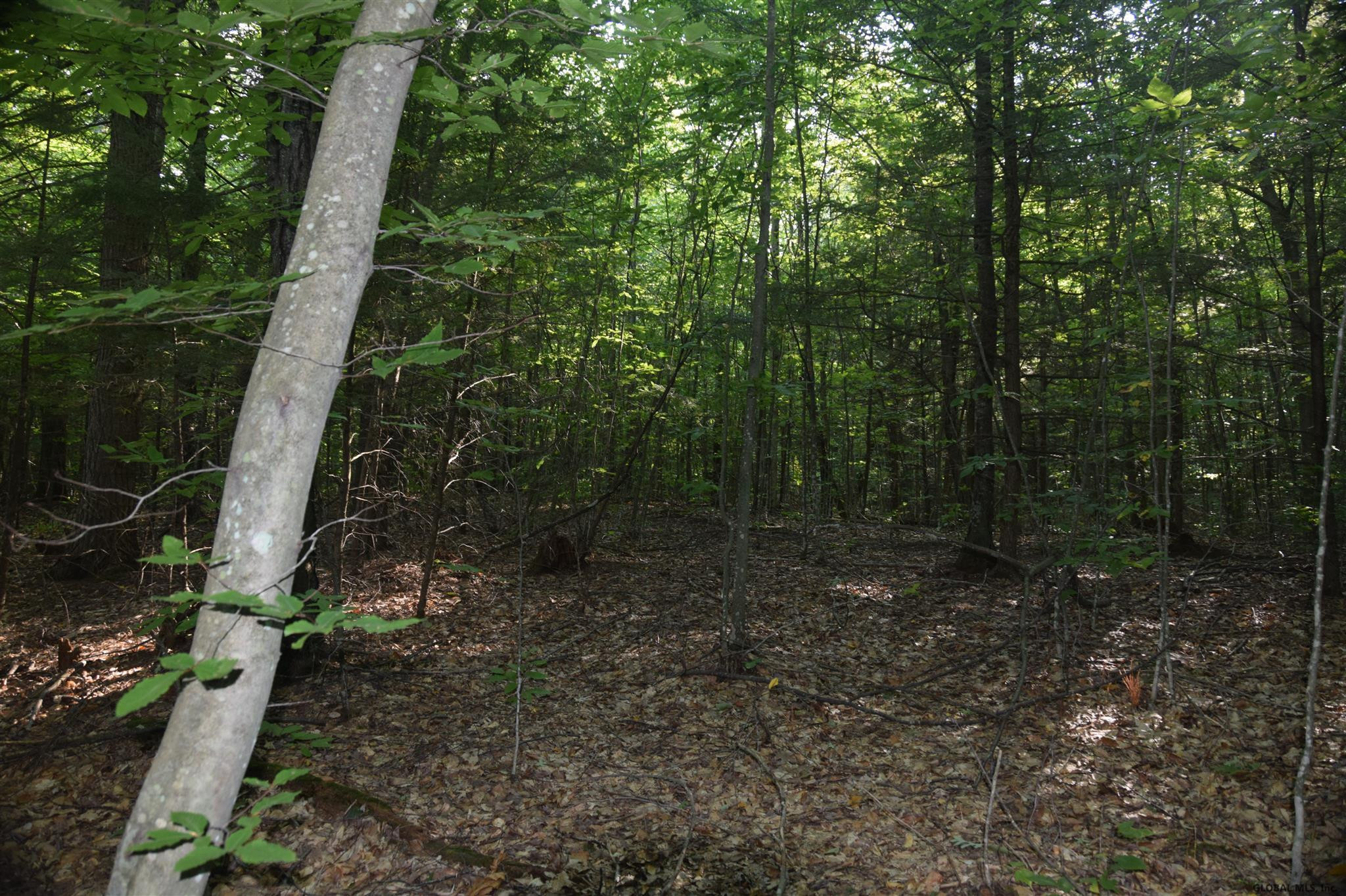 5 Diamond Ridge Road Diamond Point, NY 12824 - Photo 8 of 10 Photo 9
