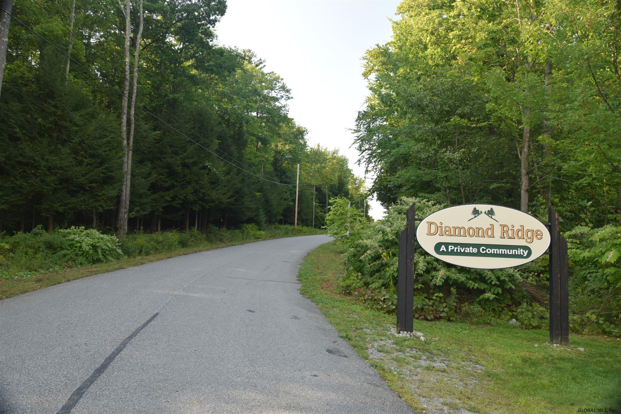 5 Diamond Ridge Road Diamond Point, NY 12824 - Photo 9 of 10 Photo 10