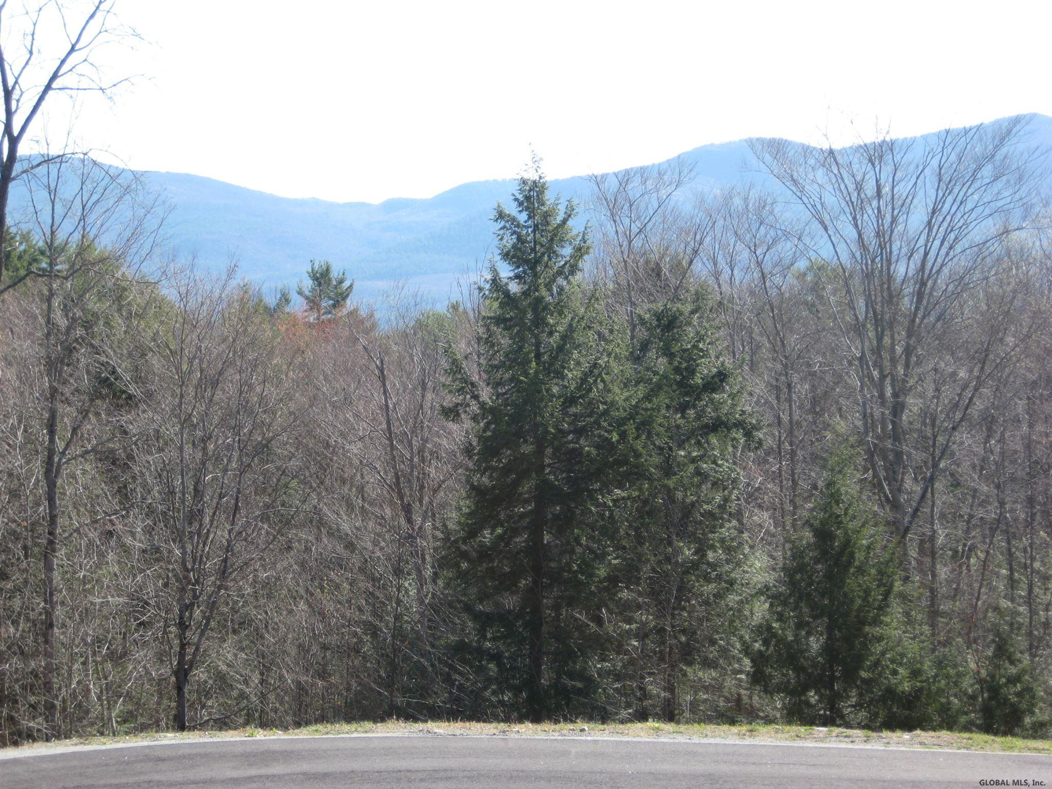5 Diamond Ridge Road Diamond Point, NY 12824 - Photo 10 of 10 Photo 11