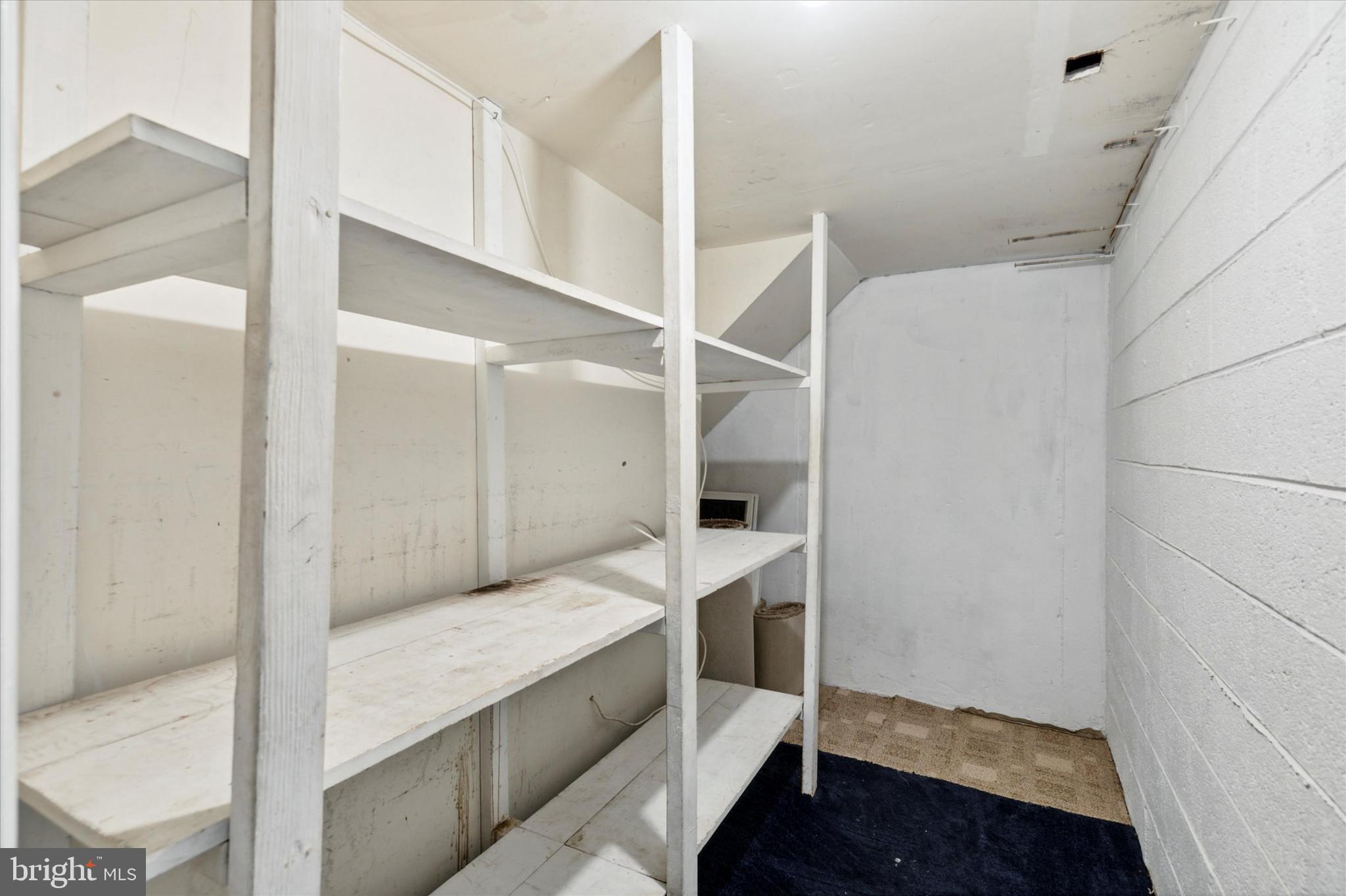 7361 Hill Road Philadelphia, PA 19128 - Photo 16 of 28 Basement Storage