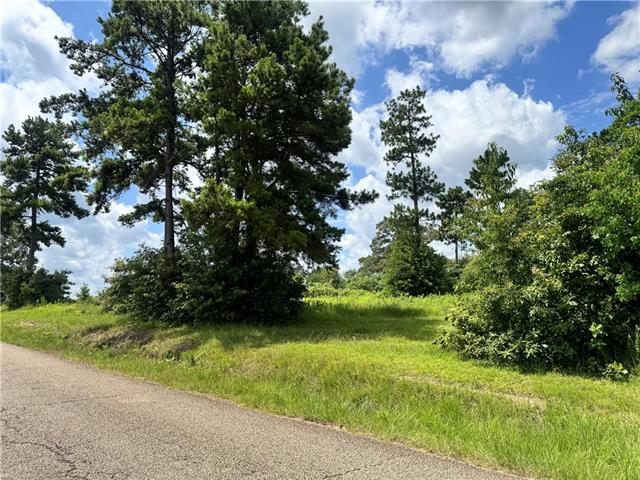 72045 South Lewiston Road Kentwood, LA 70444 - Photo 15 of 17