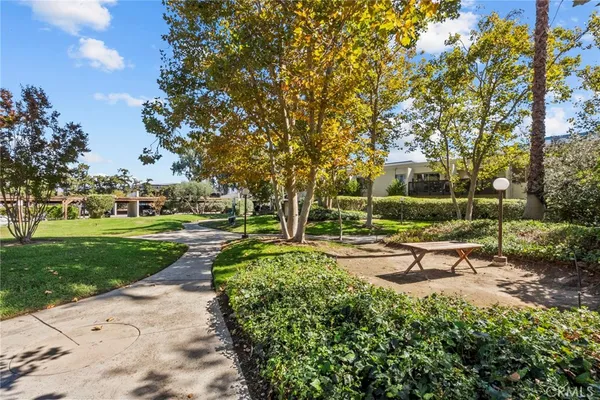 a view of a park with large trees