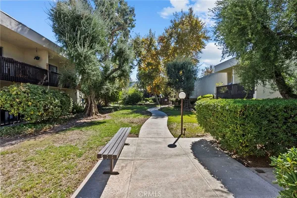 a view of backyard with plants and large trees