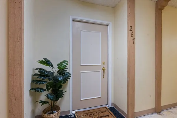 a view of a room that has a plant in it