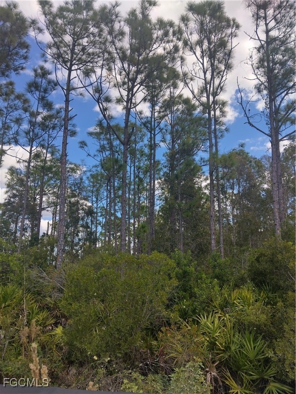 32910 Oil Well Road Punta Gorda, FL 33955 - Photo 2 of 2 a view of a garden