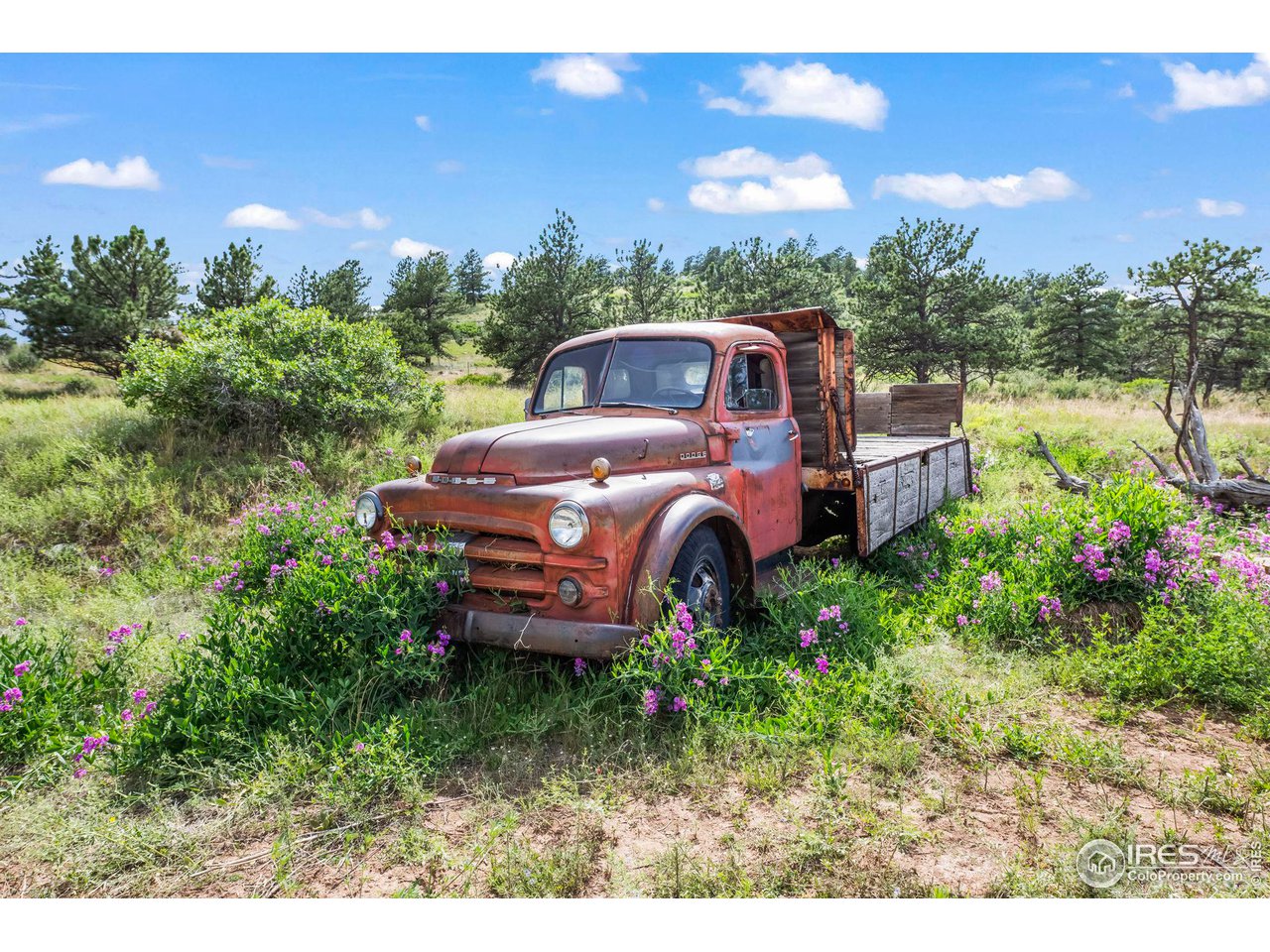 603 Indian Lookout Road Lyons, CO 80540 - Photo 33 of 39 a front view of a house with a garden