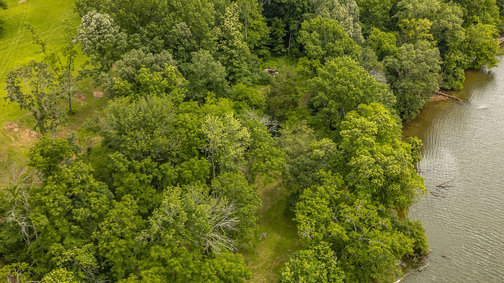 1113 East Robertson Road Castalian Springs, TN 37031 - Photo 19 of 56