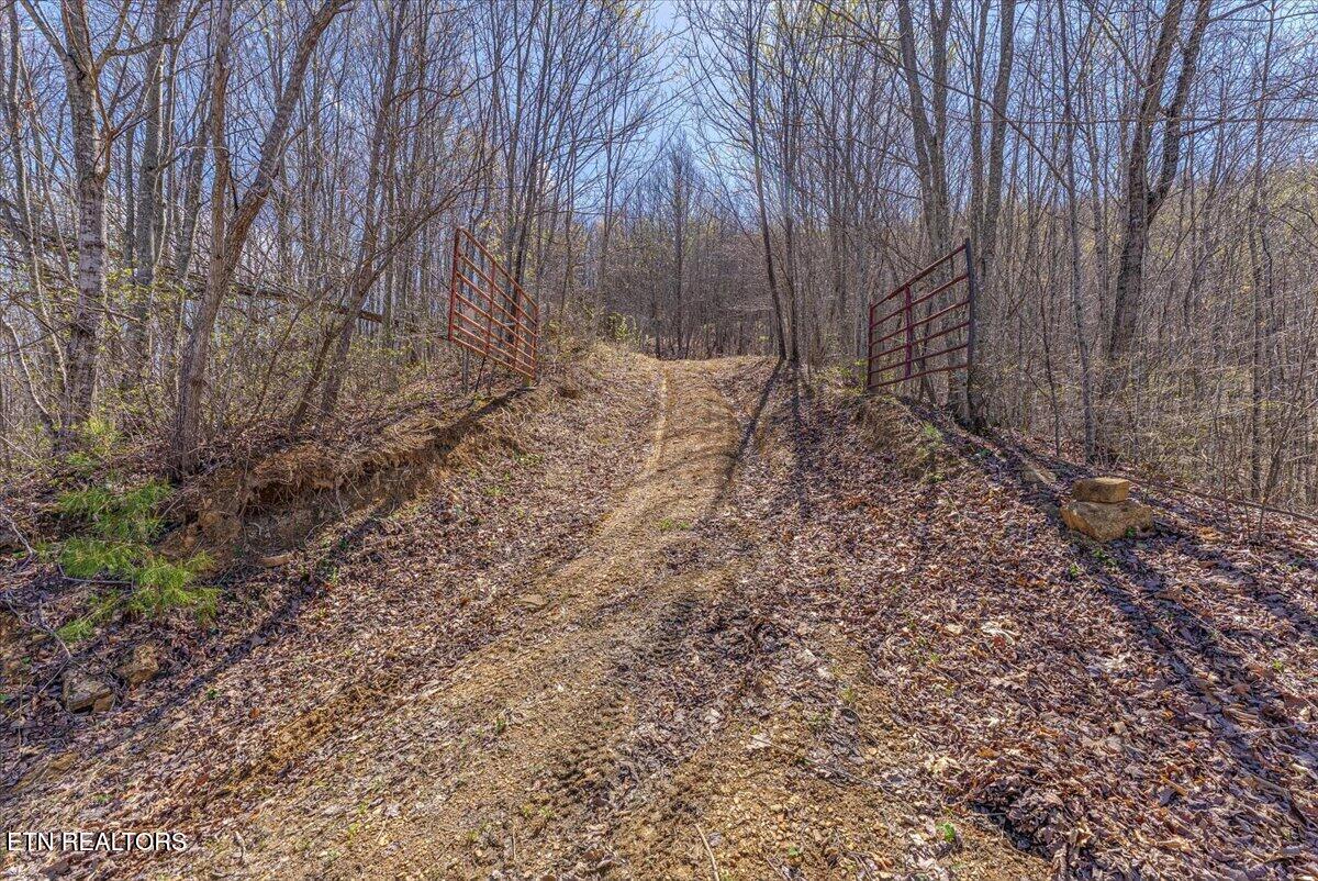 422 Crooked Branch Road Huntsville, TN 37756 - Photo 17 of 35 27-Entrance A2