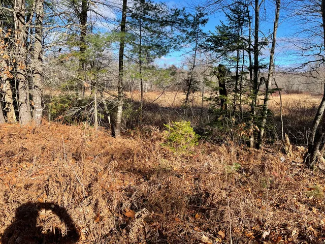 $36,000 | Lot 40 Lord Brook Road, Burlington, ME 04417