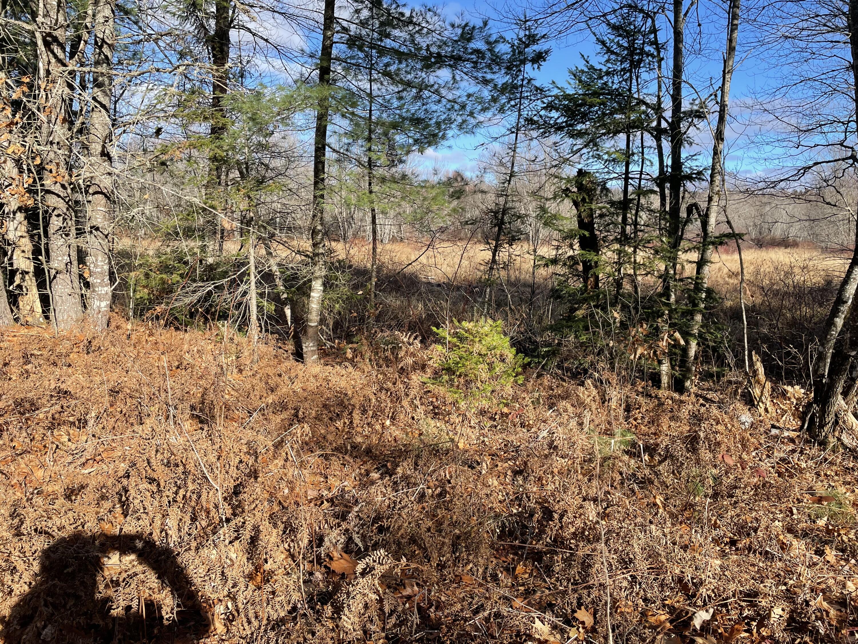 Lot 40 Lord Brook Road Burlington, ME 04417 - Photo 4 of 5 Lot 40 Lord Brook Road clearing