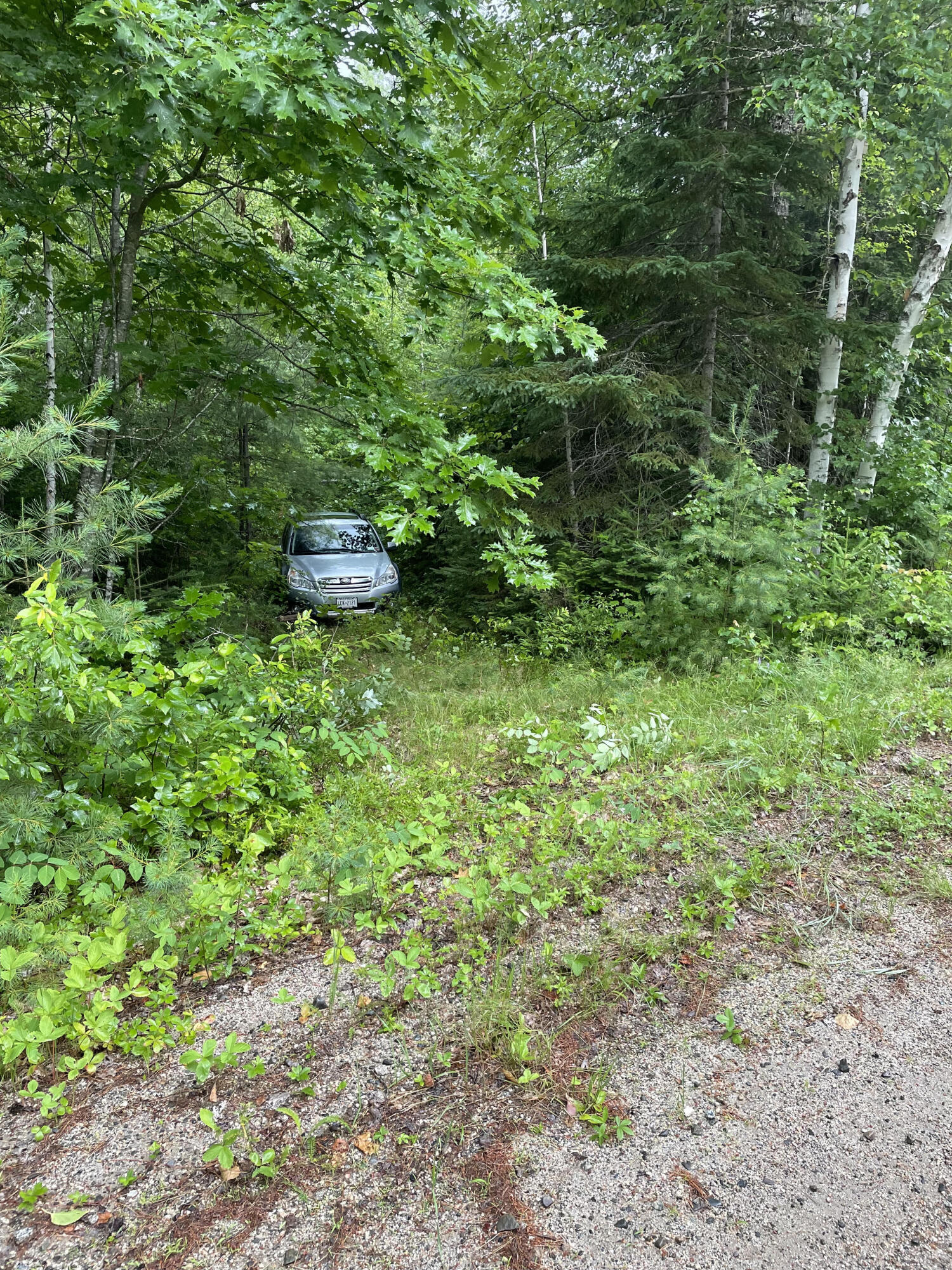 Lot 40 Lord Brook Road Burlington, ME 04417 - Photo 5 of 5 Entrance to Lord Brook Rd land