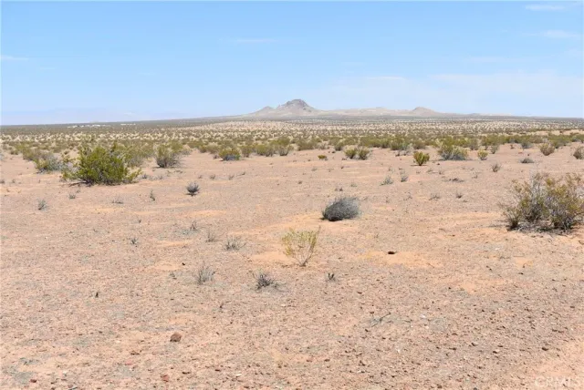 a view of beach and ocean