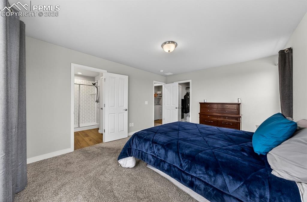 3932 Ryedale Way Colorado Springs, CO 80922 - Photo 28 of 50